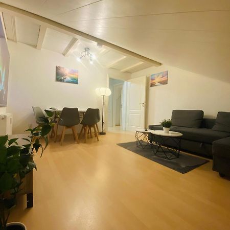 Deluxe Business Suite Mit Netflix Premium & Parkplatz, Zentral Zu Audi & Schwarz Gruppe With 2 Bedrooms Bad Friedrichshall Kültér fotó