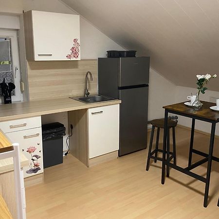 Deluxe Business Suite Mit Netflix Premium & Parkplatz, Zentral Zu Audi & Schwarz Gruppe With 2 Bedrooms Bad Friedrichshall Kültér fotó