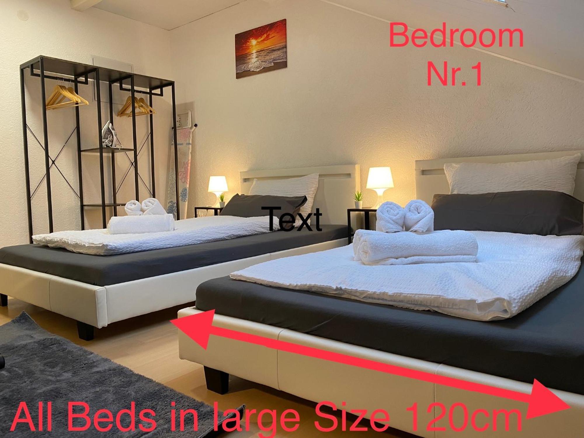 Deluxe Business Suite Mit Netflix Premium & Parkplatz, Zentral Zu Audi & Schwarz Gruppe With 2 Bedrooms Bad Friedrichshall Kültér fotó