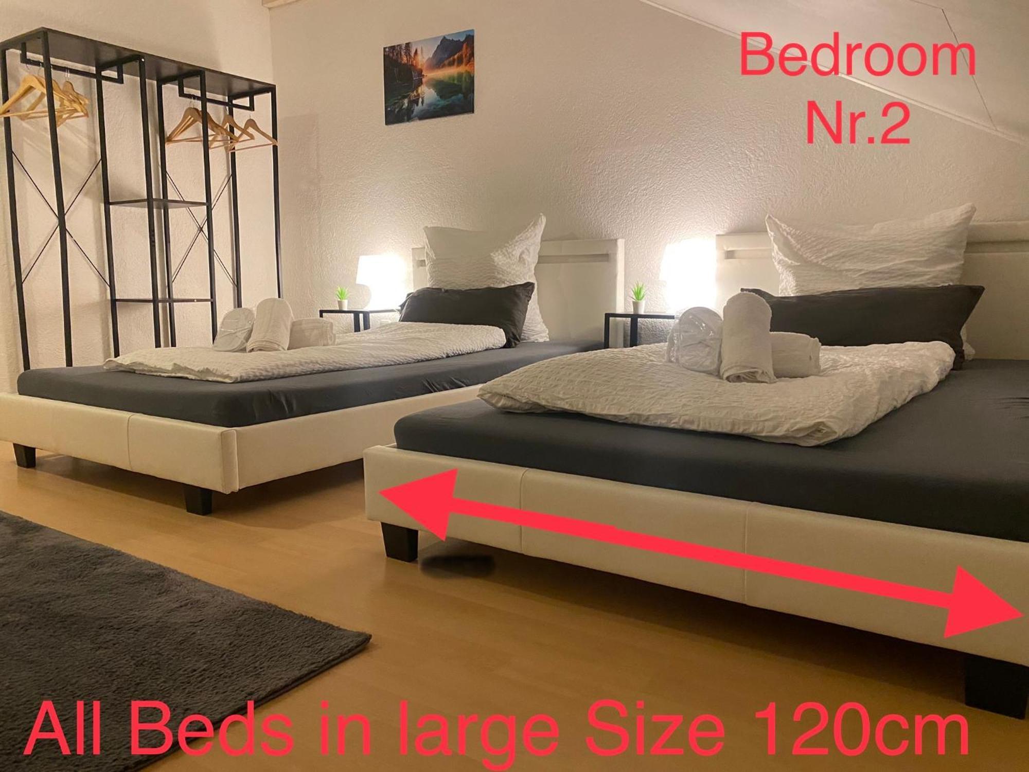 Deluxe Business Suite Mit Netflix Premium & Parkplatz, Zentral Zu Audi & Schwarz Gruppe With 2 Bedrooms Bad Friedrichshall Kültér fotó